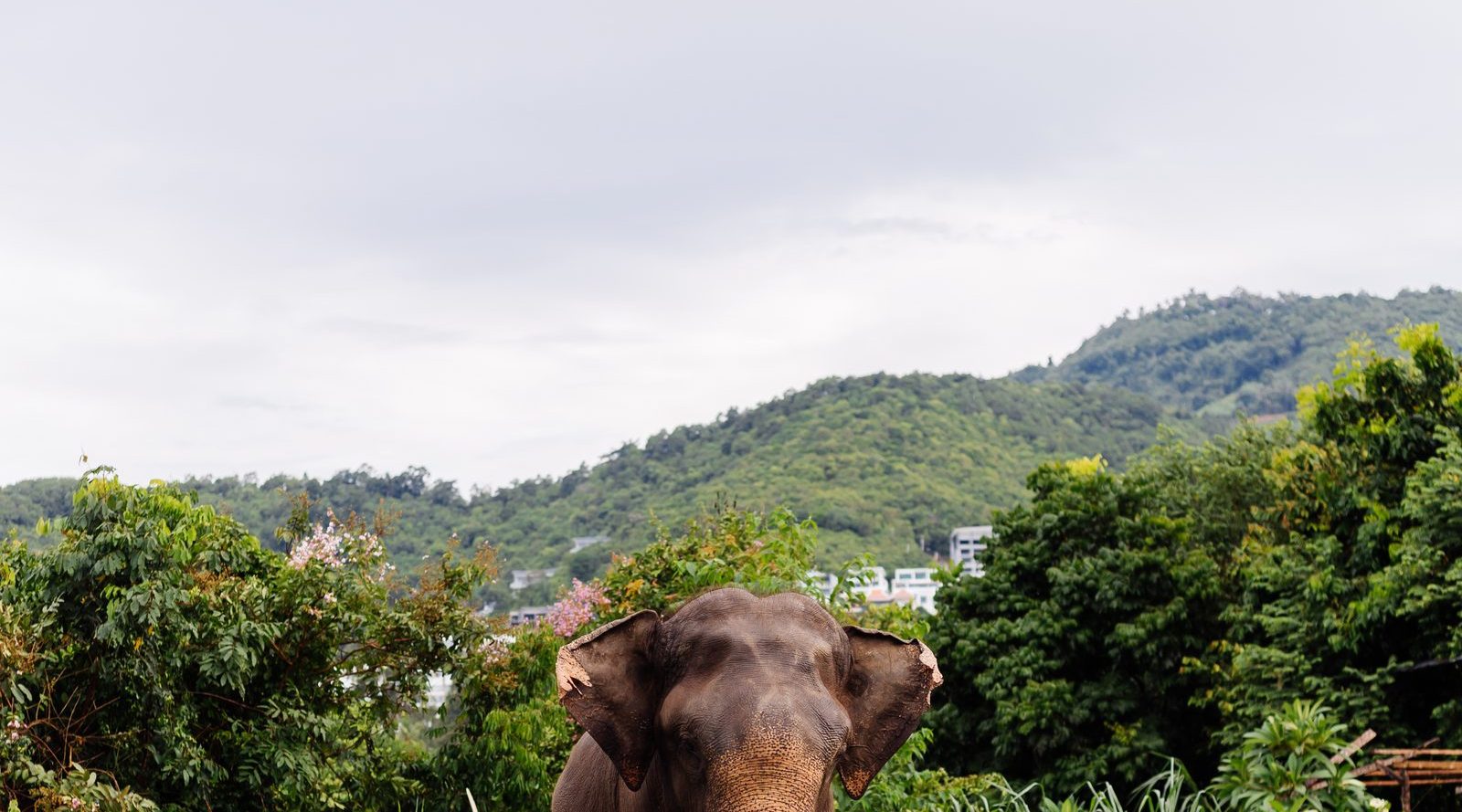Surin, Thailand — Explera DMC destination