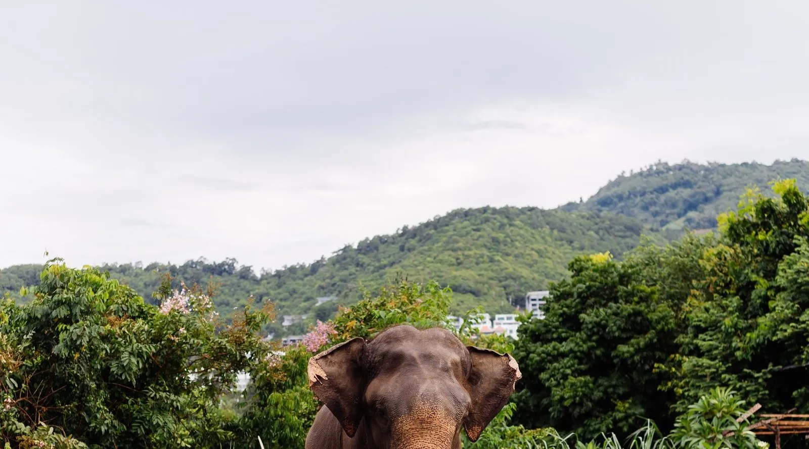 Surin, Thailand — Explera DMC destination